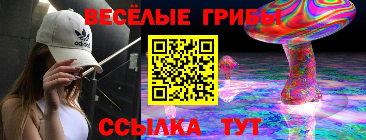 Галлюциногенные грибы GOLDEN TEACHER Шатура